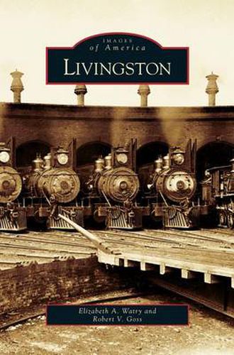 Cover image for Livingston