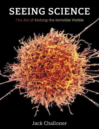 Seeing Science: The Art of Making the Invisible Visible