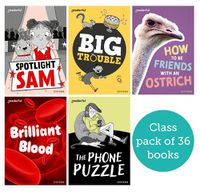 Cover image for Readerful Rise: Oxford Reading Level 7: Class Pack