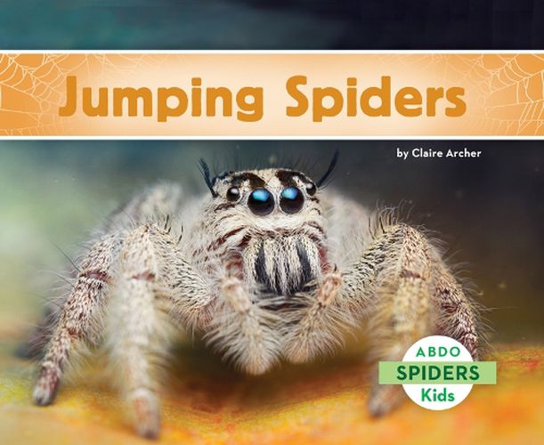 Cover image for Jumping Spiders