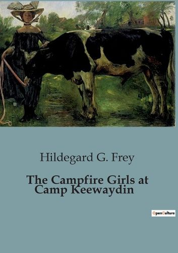 Cover image for The Campfire Girls at Camp Keewaydin