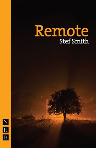 Cover image for Remote
