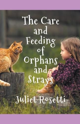 Cover image for The Care & Feeding of Orphans and Strays