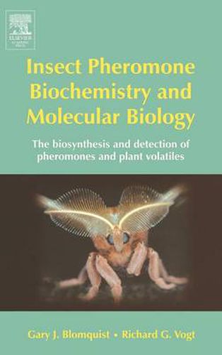 Cover image for Insect Pheromone Biochemistry and Molecular Biology: The Biosynthesis and Detection of Pheromones and Plant Volatiles