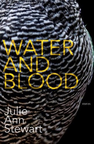 Cover image for Water and Blood