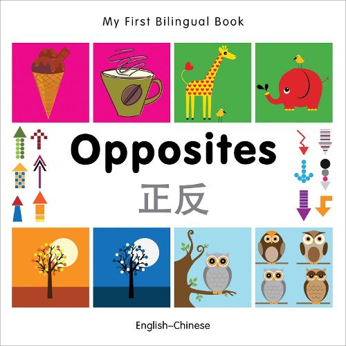 Cover image for My First Bilingual Book - Opposites: English-chinese