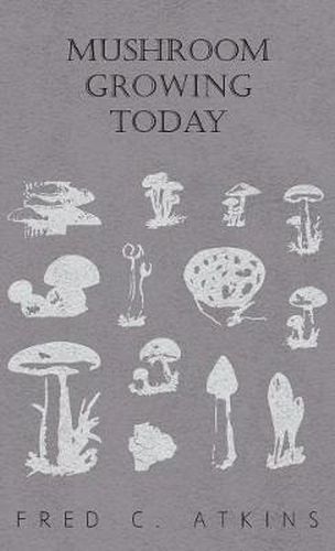 Cover image for Mushroom Growing Today