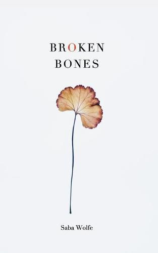 Cover image for Broken Bones