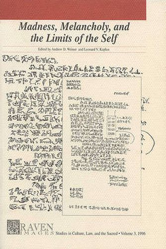 Cover image for Madness Melancholy & Limits of the Self