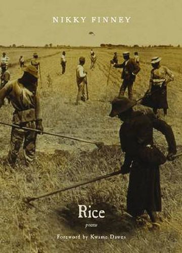 Cover image for Rice