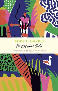 Cover image for Mississippi Solo: John Murray Journeys