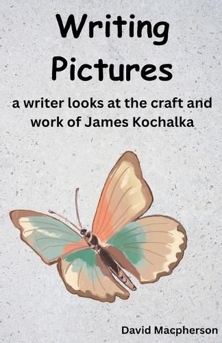Cover image for Writing Pictures