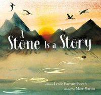 Cover image for A Stone Is a Story