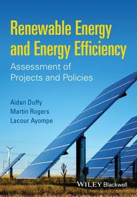 Cover image for Renewable Energy and Energy Efficiency - Assessment of Projects and Policies