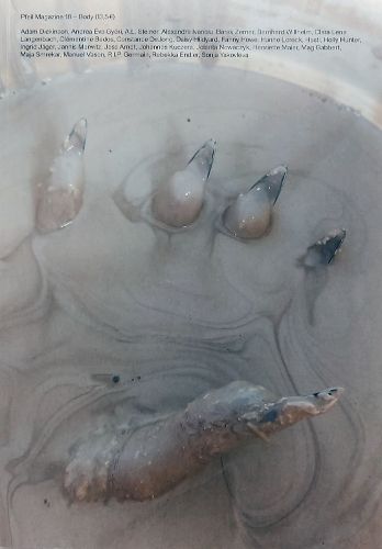 Cover image for PFEIL #18 - BODY