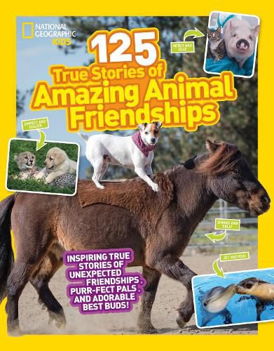 Cover image for 125 Animal Friendships