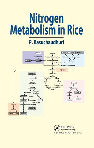 Nitrogen Metabolism in Rice