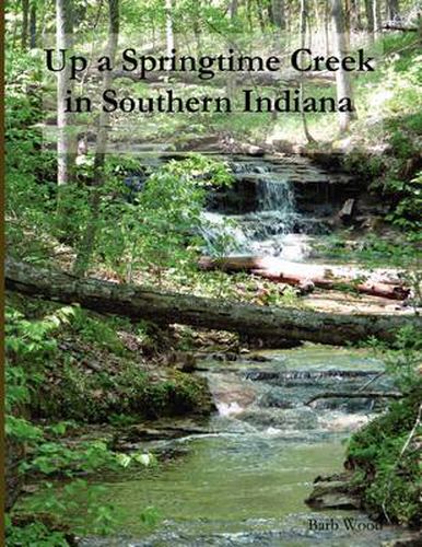 Cover image for Up A Springtime Creek In Southern Indiana