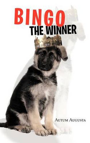 Cover image for Bingo the Winner