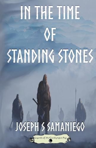 Cover image for In the Time of Standing Stones