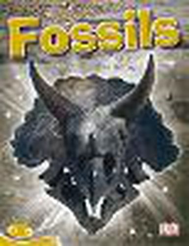 Cover image for Bug Club Level 21 - Gold: Fossils (Reading Level 21/F&P Level L)