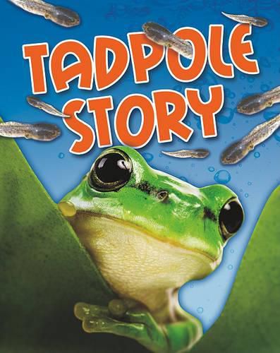 Cover image for Tadpole Story