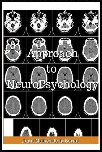 Approach To Neuropsychology