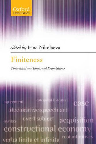 Cover image for Finiteness: Theoretical and Empirical Foundations