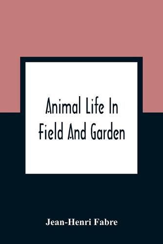 Animal Life In Field And Garden