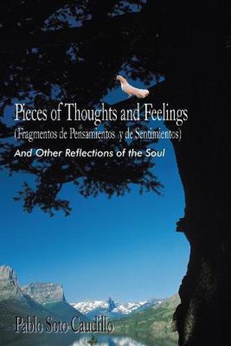 Cover image for Pieces of Thoughts and Feelings (Fragmentos De Pensamientos Y De Sentimientos): And Other Reflections of the Soul