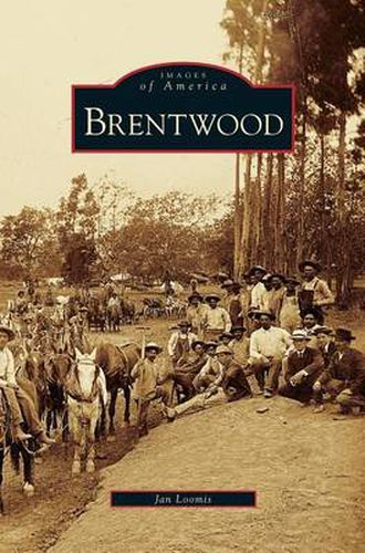 Cover image for Brentwood