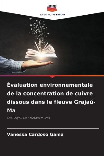 Cover image for Evaluation environnementale de la concentration de cuivre dissous dans le fleuve Grajau-Ma