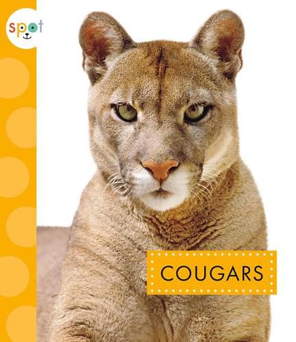 Cover image for Cougars