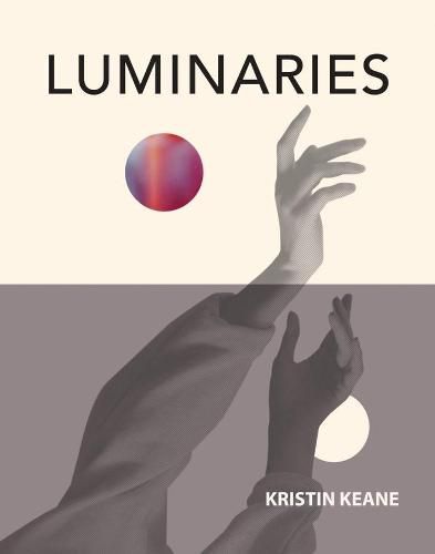 Cover image for Luminaries