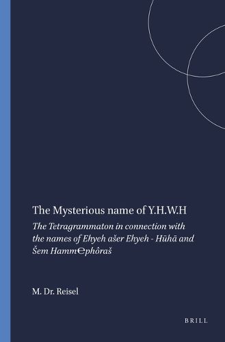 Cover image for The Mysterious name of Y.H.W.H