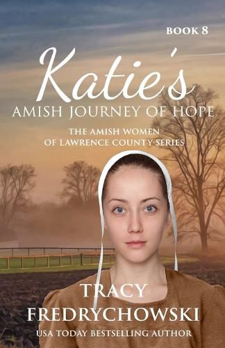 Cover image for Katie's Amish Journey of Hope