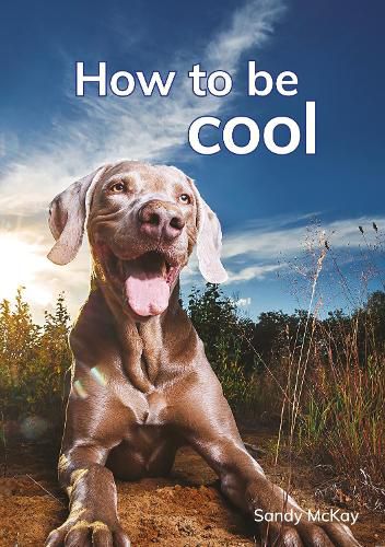 Cover image for How to be cool