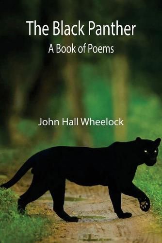 Cover image for The Black Panther: A book of poems