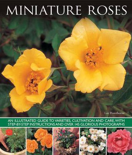 Cover image for Miniature Roses