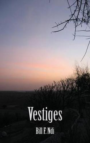 Cover image for Vestiges