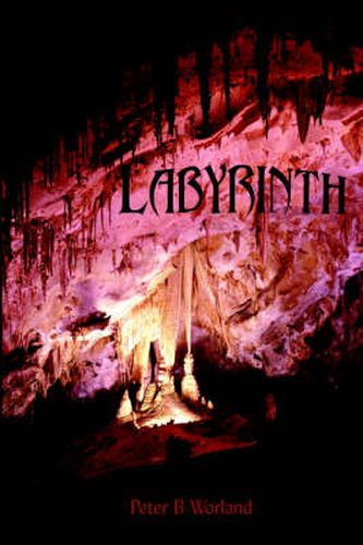 Cover image for Labyrinth