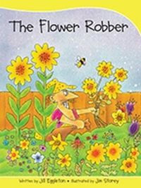 Cover image for Sails Take-Home Library Set B: The Flower Robber