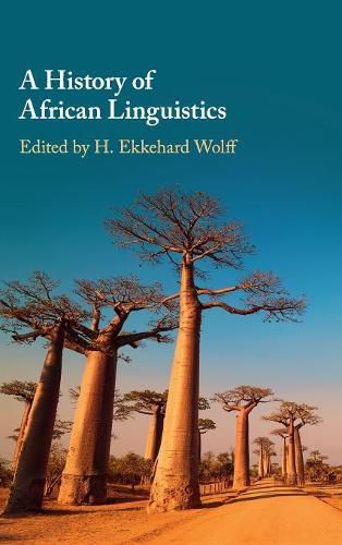 Cover image for A History of African Linguistics