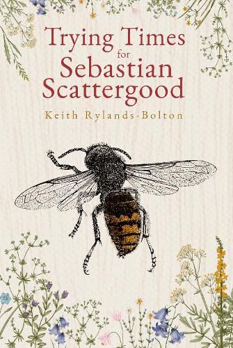 Cover image for Trying Times for Sebastian Scattergood