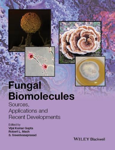 Cover image for Fungal Biomolecules: Sources, Applications and Recent Developments