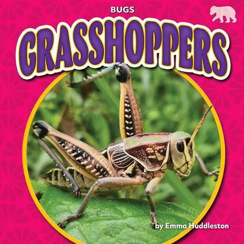 Cover image for Grasshoppers