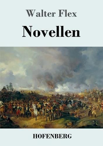 Cover image for Novellen