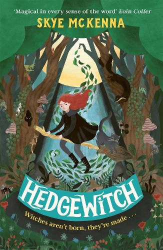 Hedgewitch: An enchanting fantasy adventure brimming with mystery and magic