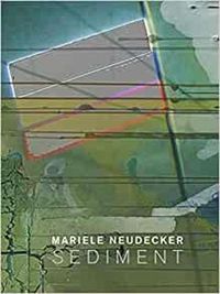 Cover image for Mariele Neudecker - Sediment