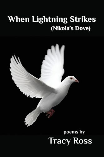 Cover image for When Lightning Strikes (Nikolas's Dove)